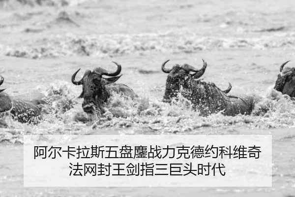 a-er-ka-la-si-wu-pan-ao-zhan-li-ke-de-yue-ke-wei-qi-fa-wang-feng-wang-jian-zhi-san-ju-tou-shi-dai-2-479.jpg