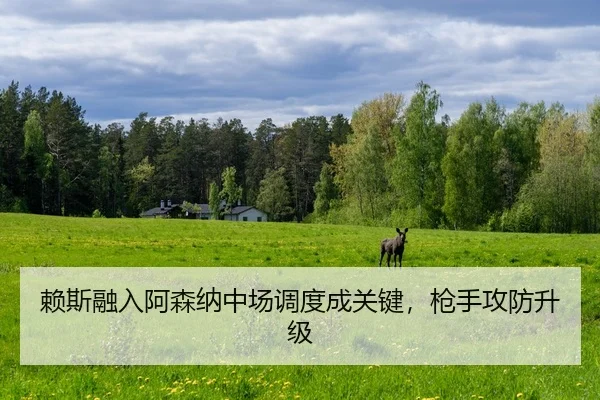 lai-si-rong-ru-a-sen-na-zhong-chang-diao-du-cheng-guan-jian-qiang-shou-gong-fang-sheng-ji-2-520.jpg